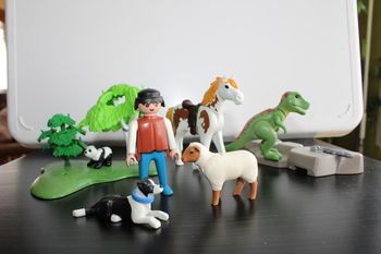 Playmobil lot figurines animaux