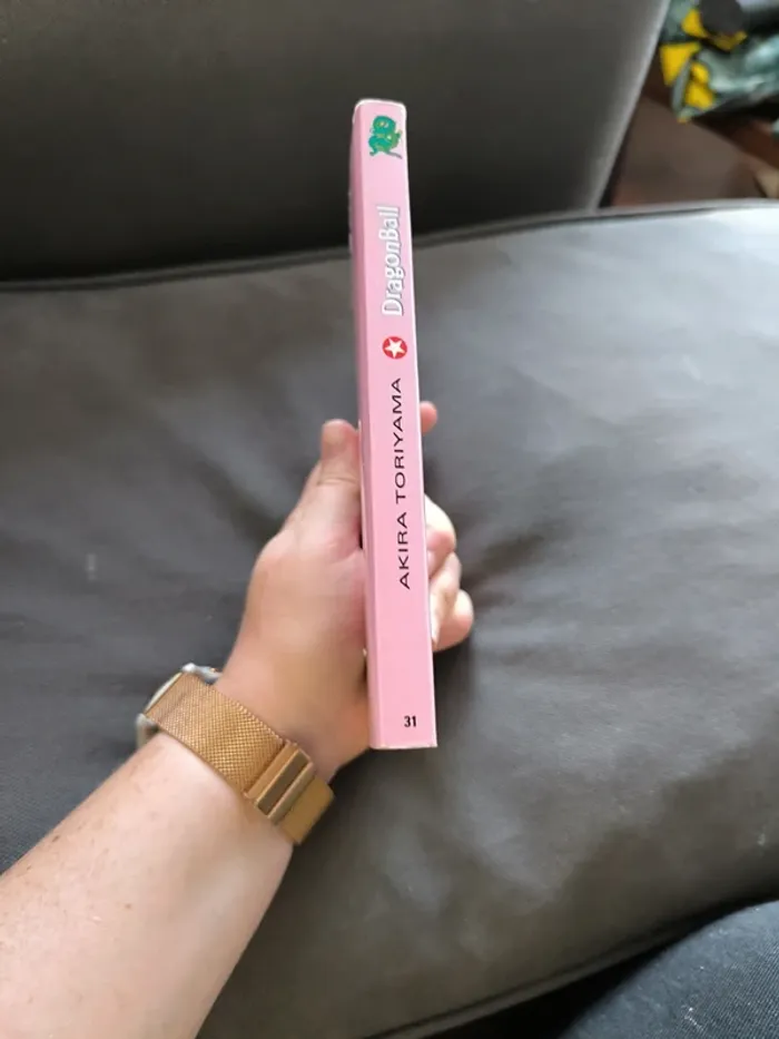 Manga dragon ball pastel tome 31 - photo numéro 4