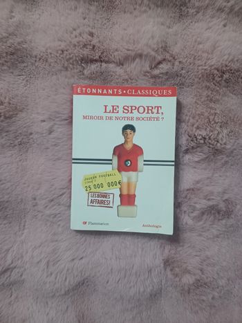 Livre: le sport, miroir de notre société