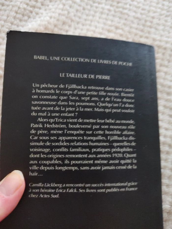 Le tailleur de pierre Camilla läckberg - photo numéro 6