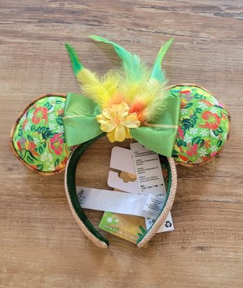 Ears minnie main attraction tiki room