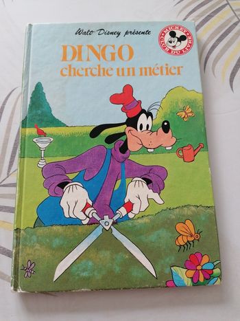 Dingo cherche un métier