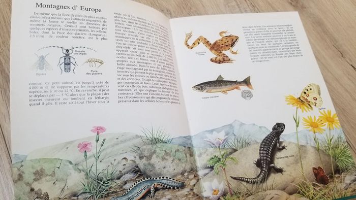 La nature autour du monde livre - photo numéro 6