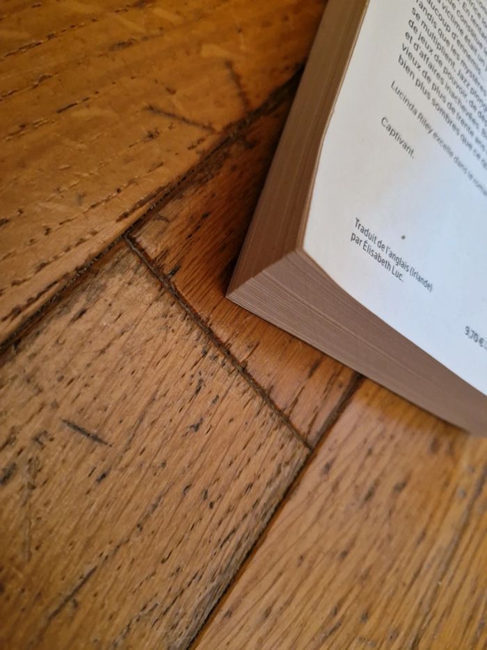 Lucinda Riley / Les Mystères de Fleat House - photo numéro 8