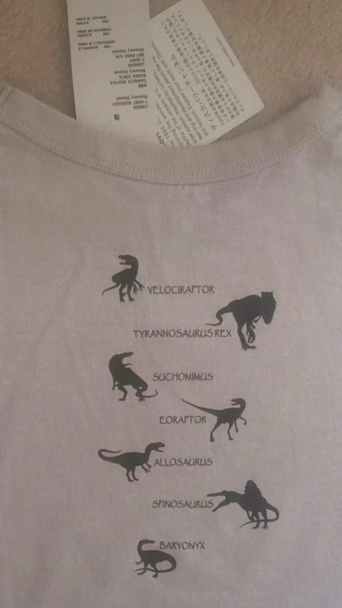 Tee-shirt Uniqlo - photo numéro 3