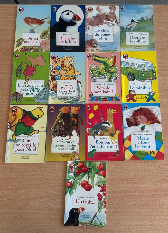 lot de 13 livres Castor Poche 📚