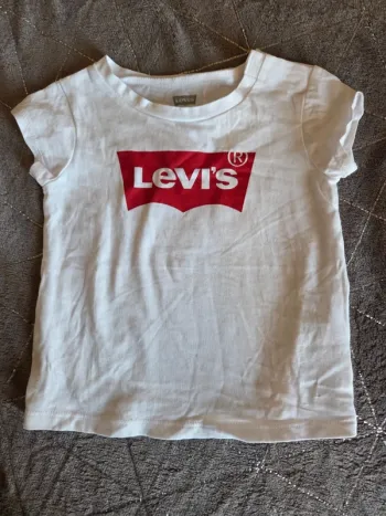 Lot tee shirt manche courte