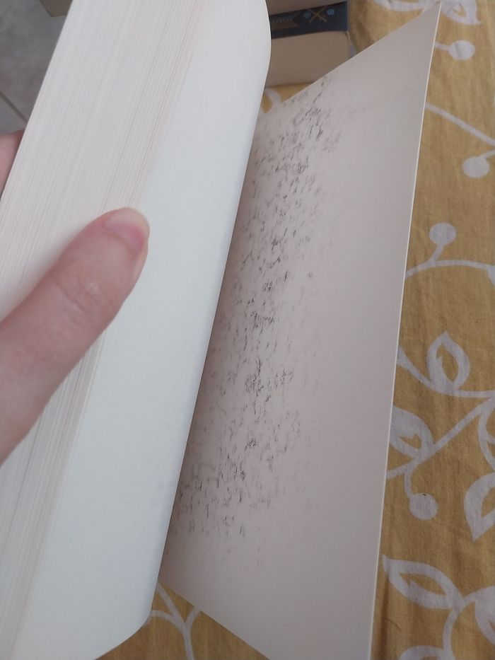 Romans Keleana tomes 0.5 à 4 + 7- Sarah J. Maas La Martinière - photo numéro 10