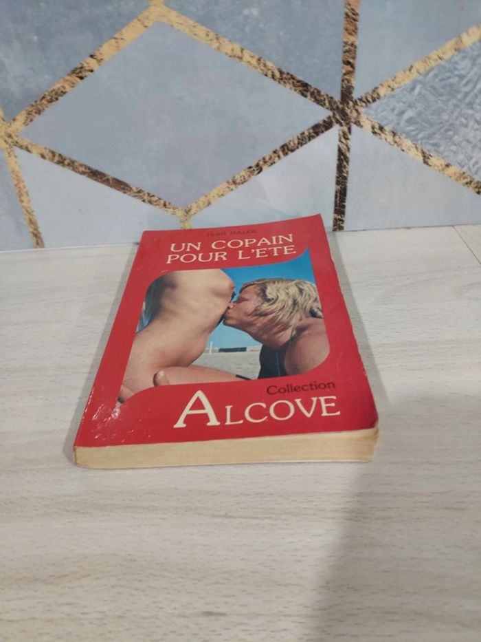 Livre poche érotique Un copain pour l'été Nalek collection Alcove adultes public averti - photo numéro 3