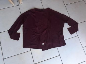 Gilet fin bonobo lie de vin taille s 36 femme