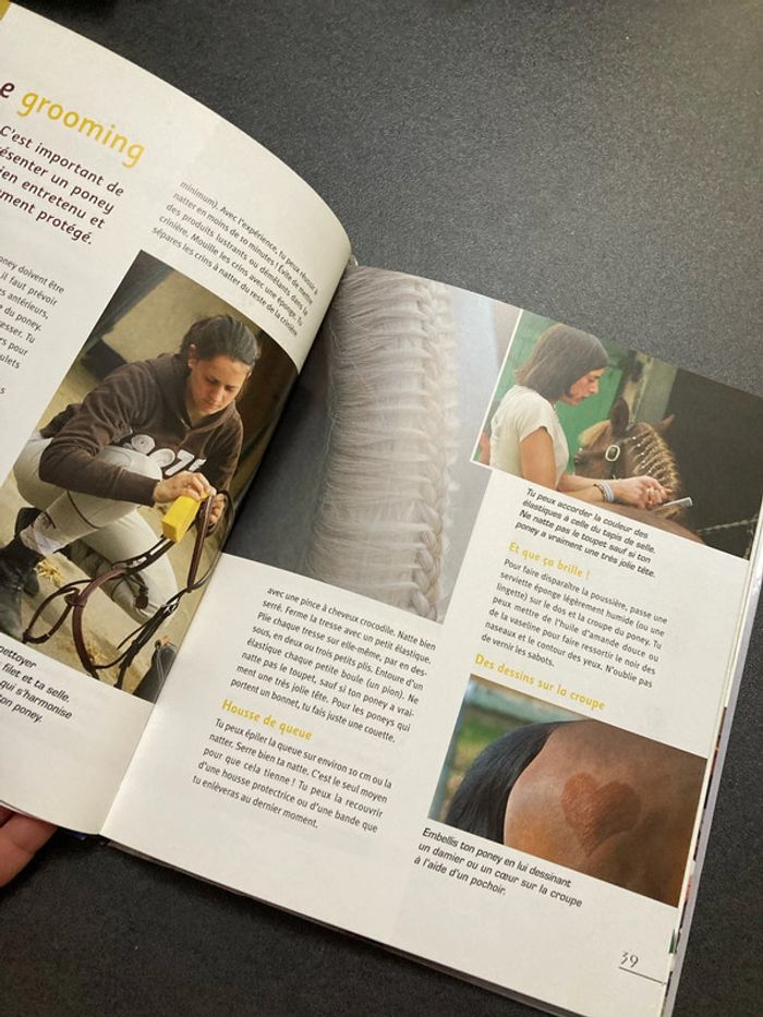 Poney de compétition équitation cheval livre Milan - photo numéro 4
