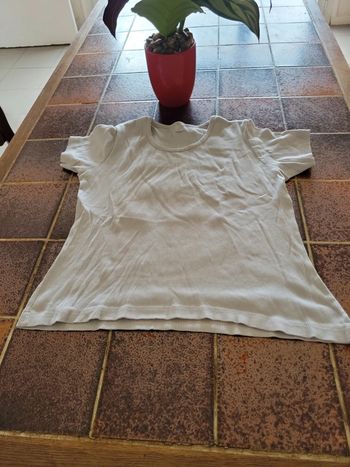Tee shirt manches courtes