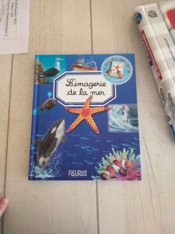 L'imagerie de la mer