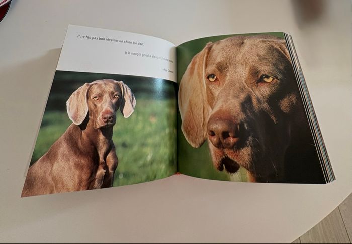 Livre Amours de chiens d’Adriano Bacchela - photo numéro 4