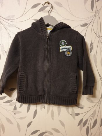 Jolie gilet gris et bleu