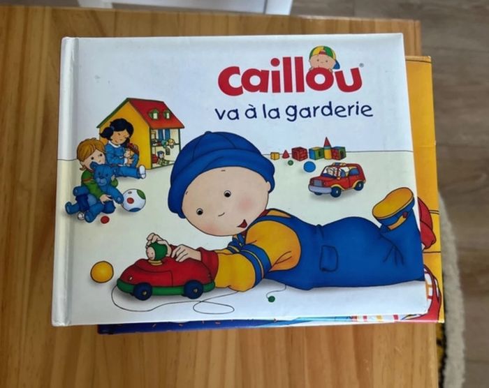 Lot de 10 livres - photo numéro 11