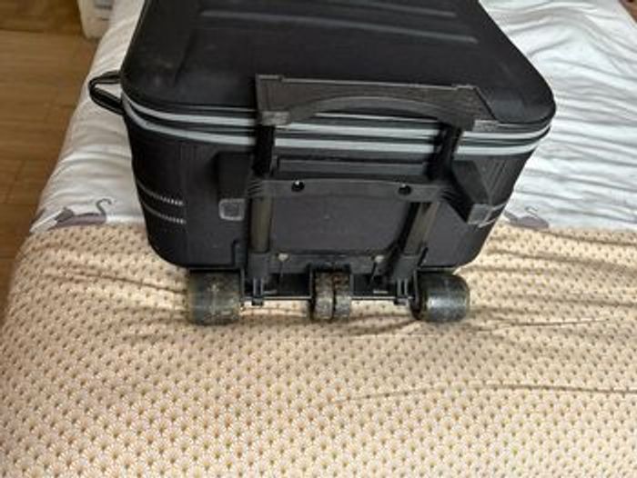 Valise Simba - photo numéro 5