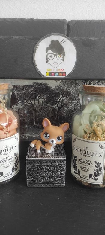 My Littlest Petshop Pet Shop LPS Authentic  Authentique dog Chien Corgi 639