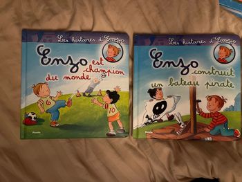 Lot 2 livres « Les histoires d’Enzo »