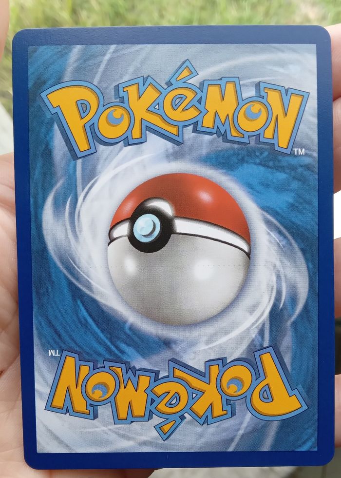 Dedenne GX - photo numéro 2