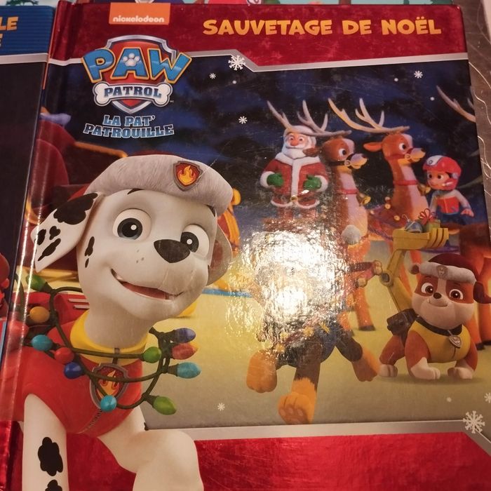 Lot 4 livres pat'patrouille - photo numéro 2