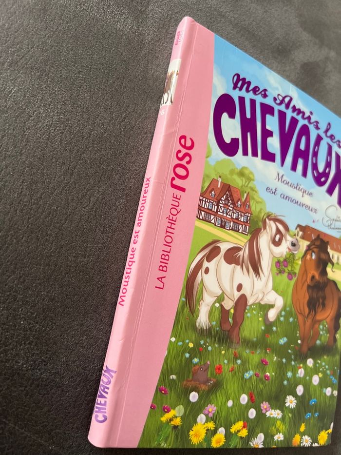 Livre bibliothèque rose mes amis les chevaux tome 16 - photo numéro 2