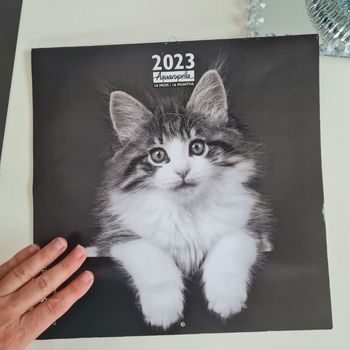 Calendrier chats 2023