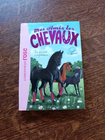 Mes amis les chevaux 2