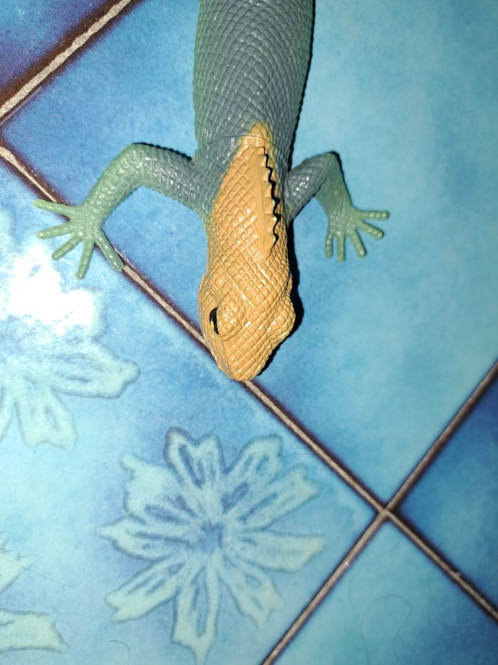 Lezard - photo numéro 4