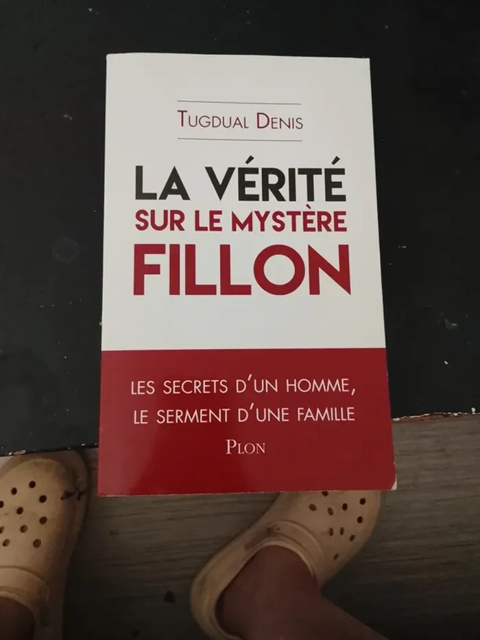 Livre de tugdual Denis