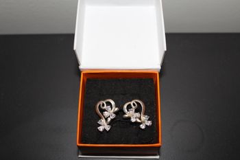 Boucles d'oreilles argent /oxydes de zirconium