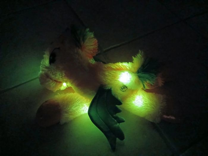 Licorne lumineuse - photo numéro 3