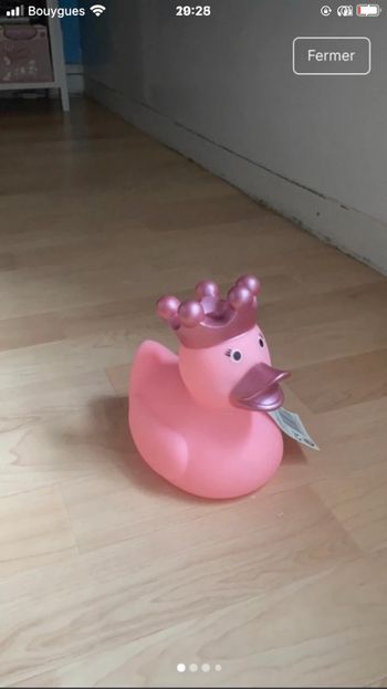 Canard de douche
