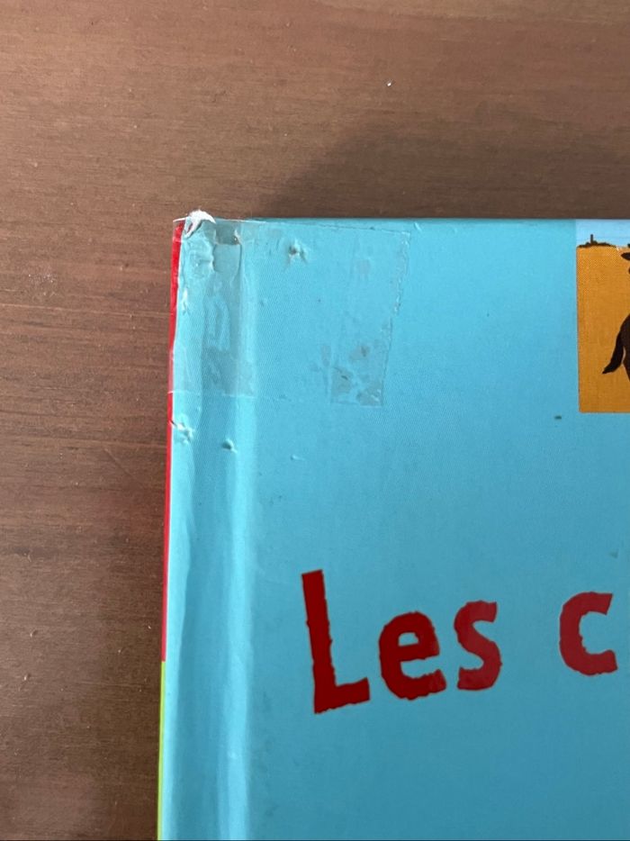 Les chevaux et les poneys Kididoc - photo numéro 5