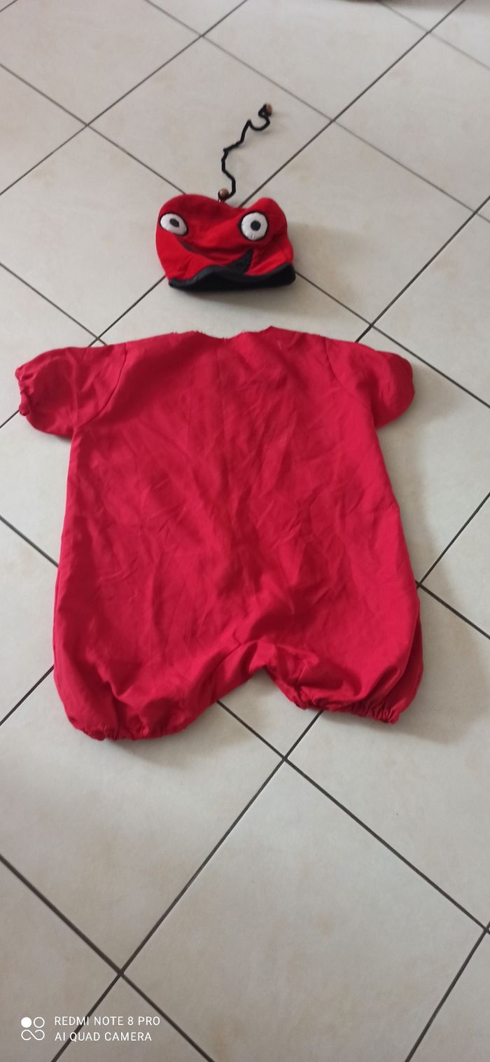 Deguisement coccinelle 3 ans