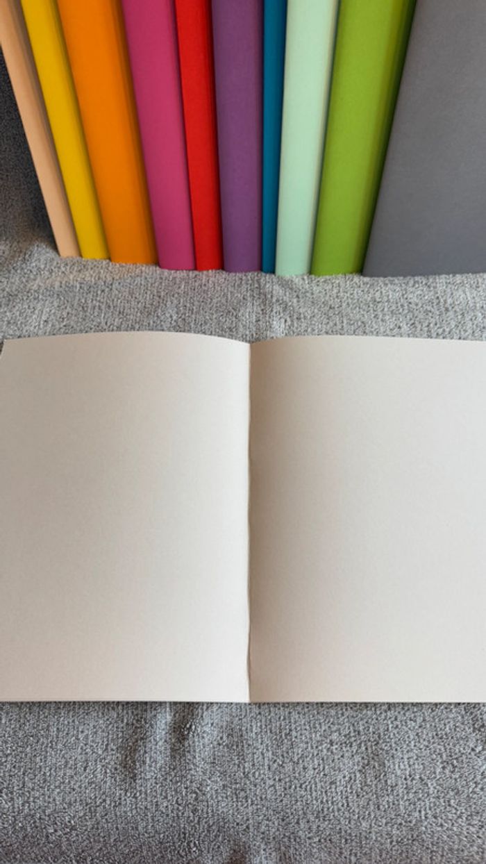 Ensemble de 5 chemises rigides gris clair - photo numéro 5