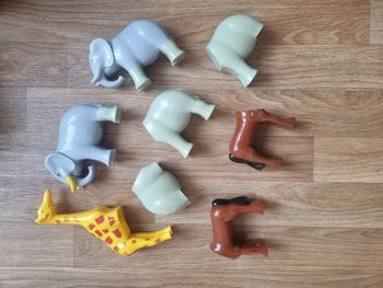 Animaux aimenté Klein