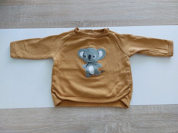 Pull koala 🐨