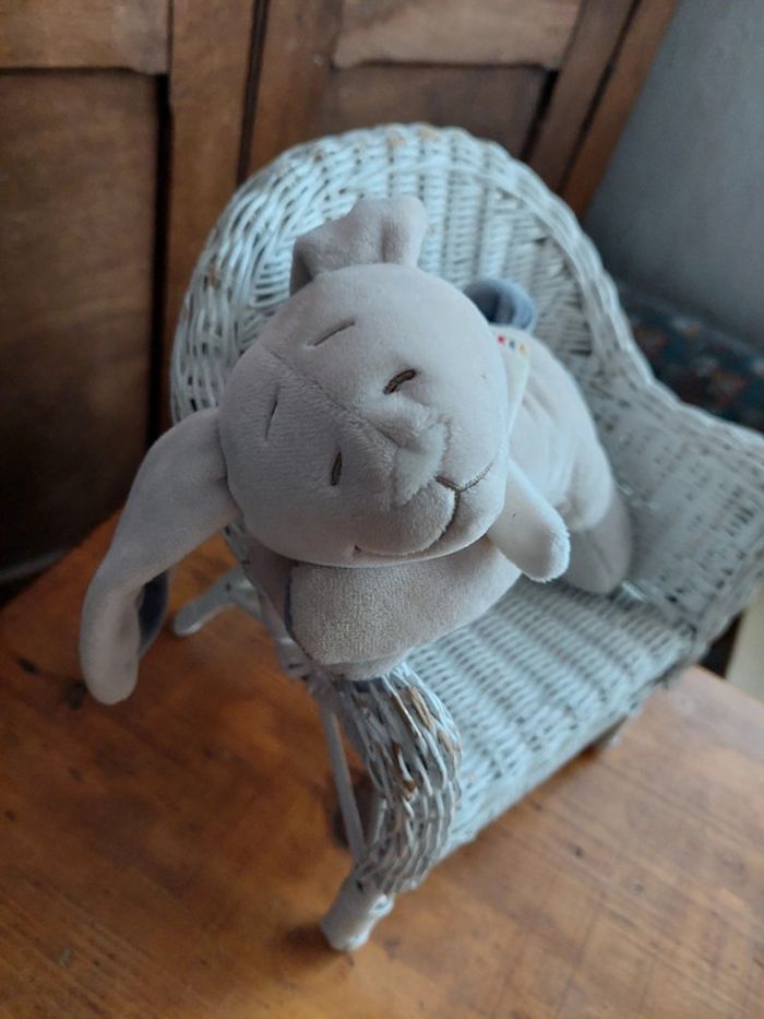 Doudou veilleuse Bao et Wapi Noukie's