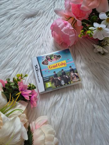 Jeux Nintendo ds Grand galop