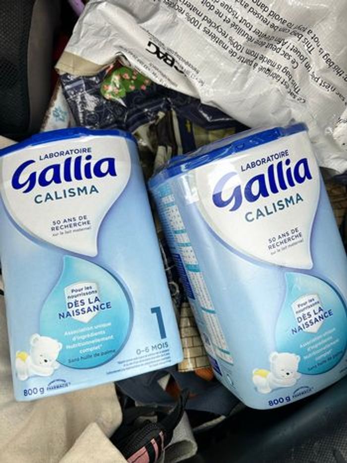 Gallia - photo numéro 2