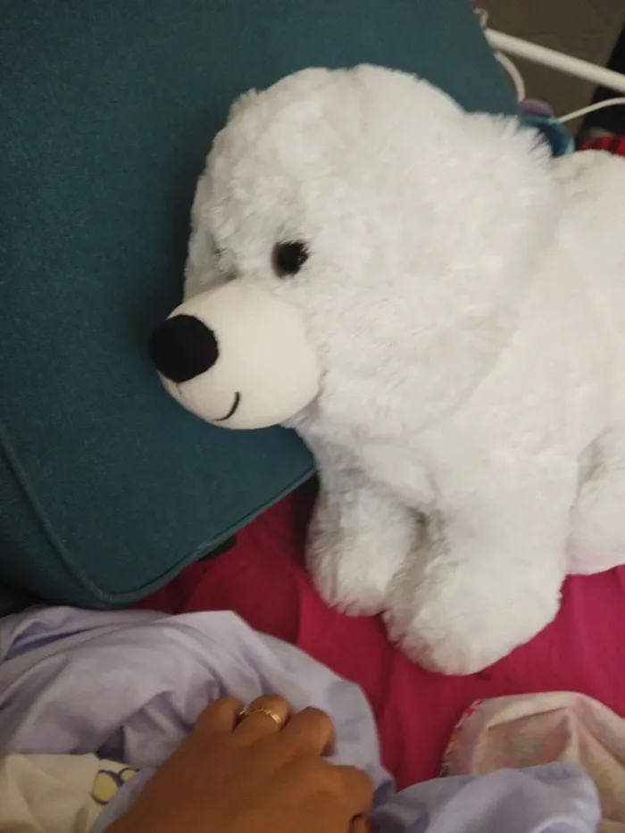 Grande peluche - photo numéro 2