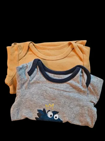 Lot de 2 bodies orchestra orange et gris - 12 mois