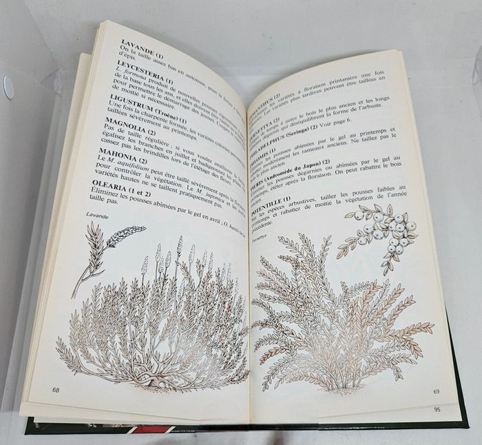 "Pour réussir la taille des plantes".
95 pages.
Gründ.
ISBN : 2.7000.6116.0 - photo numéro 6