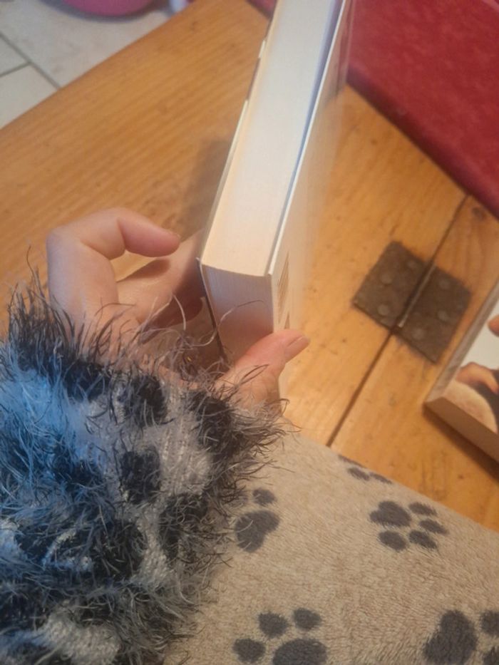 Livre roman pain - photo numéro 4