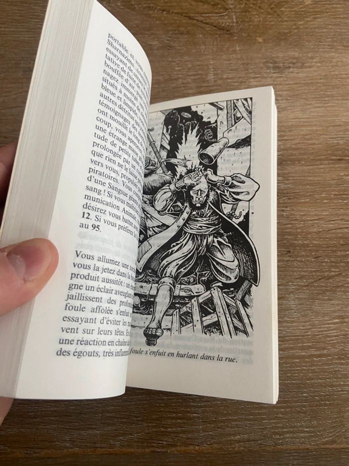 Le tyran du désert un livre dont vous êtes le héros - photo numéro 4