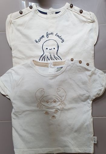 Lot de 2 tee-shirts bébé garçon, taille 9 mois,  Kiabi