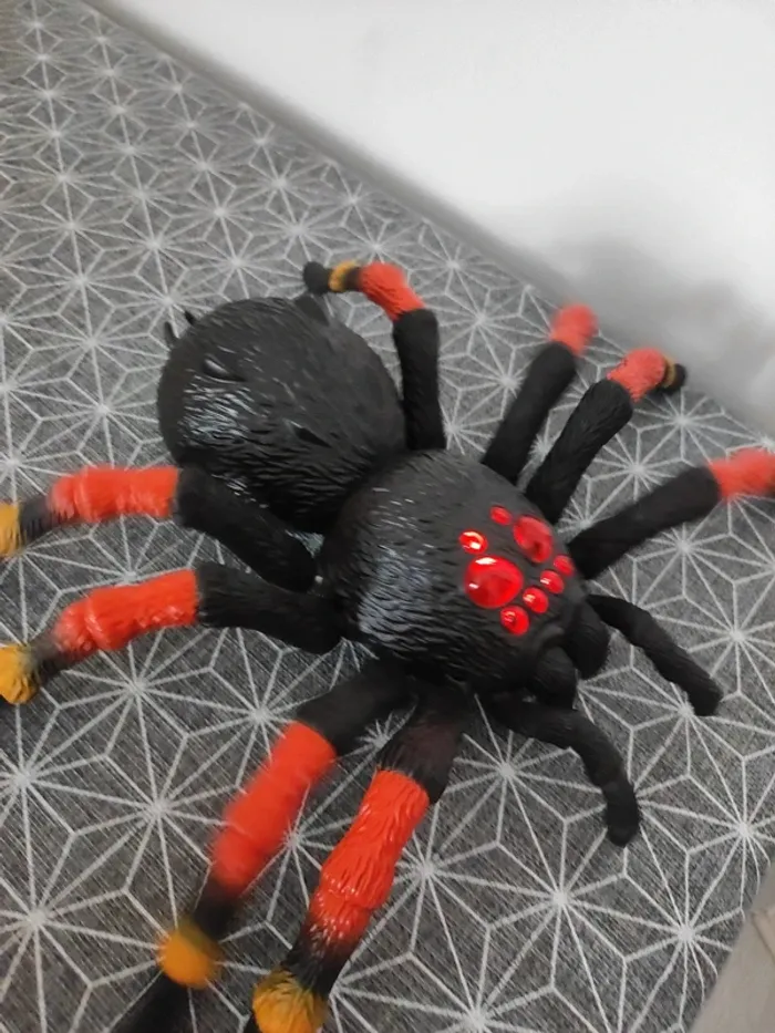 Araignée qui avance et recule - photo numéro 5