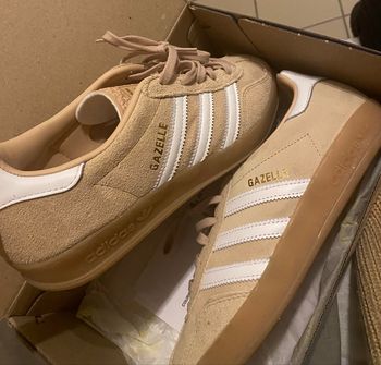 Gazelle