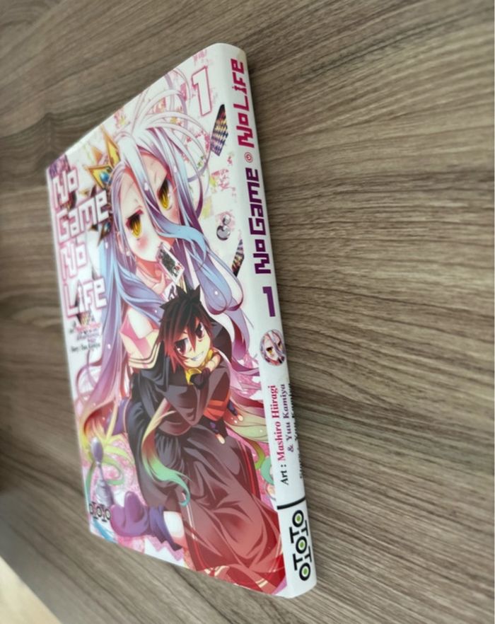 Manga « No game no Life » - photo numéro 2